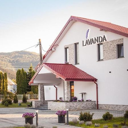פיאטרה ניאמט Pensiunea Lavanda, Piatra-Neamt מראה חיצוני תמונה