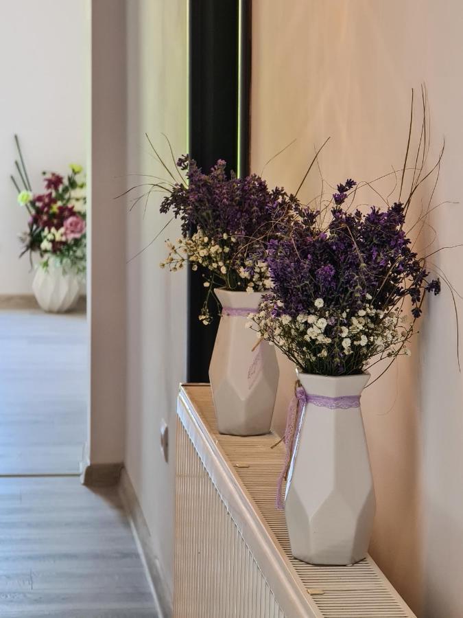 פיאטרה ניאמט Pensiunea Lavanda, Piatra-Neamt מראה חיצוני תמונה